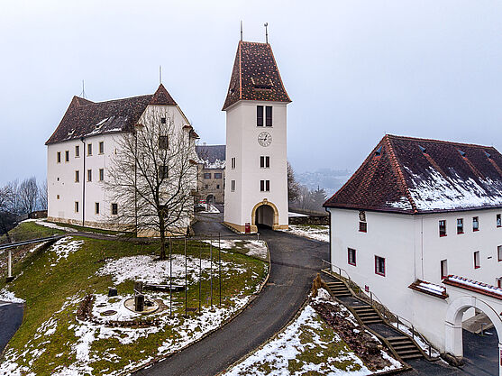 Das Schloss Seggau präsentierte sich zwar nebelig, aber gekonnt gastfreundlich.<br /> Schloss Seggau in der Totale an einem trüben Wintertag.