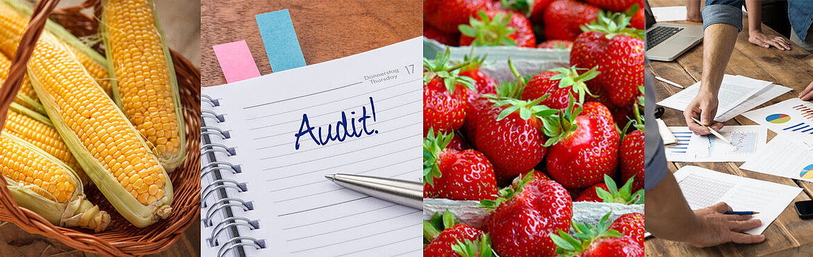Food Safety Tools - Schulungen & Audits