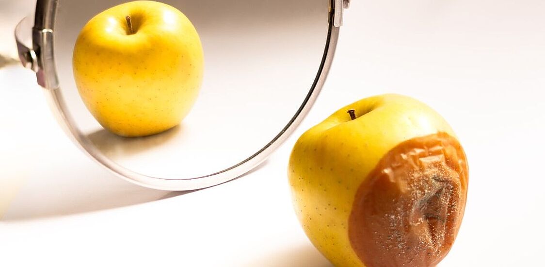 Das neue E-Learning-Programm der TÜV AUSTRIA Akademie über Korruption. Am Bild ein fauler Apfel, der sich im Spiegel betrachtet. Im Spiegelbild ist er frisch.