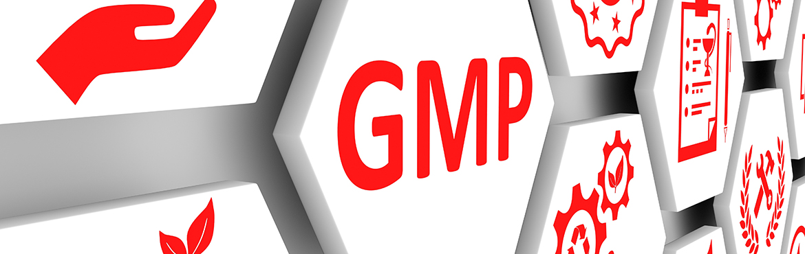 GMP Grundwissen Seminar GMP Grundwissen Seminar